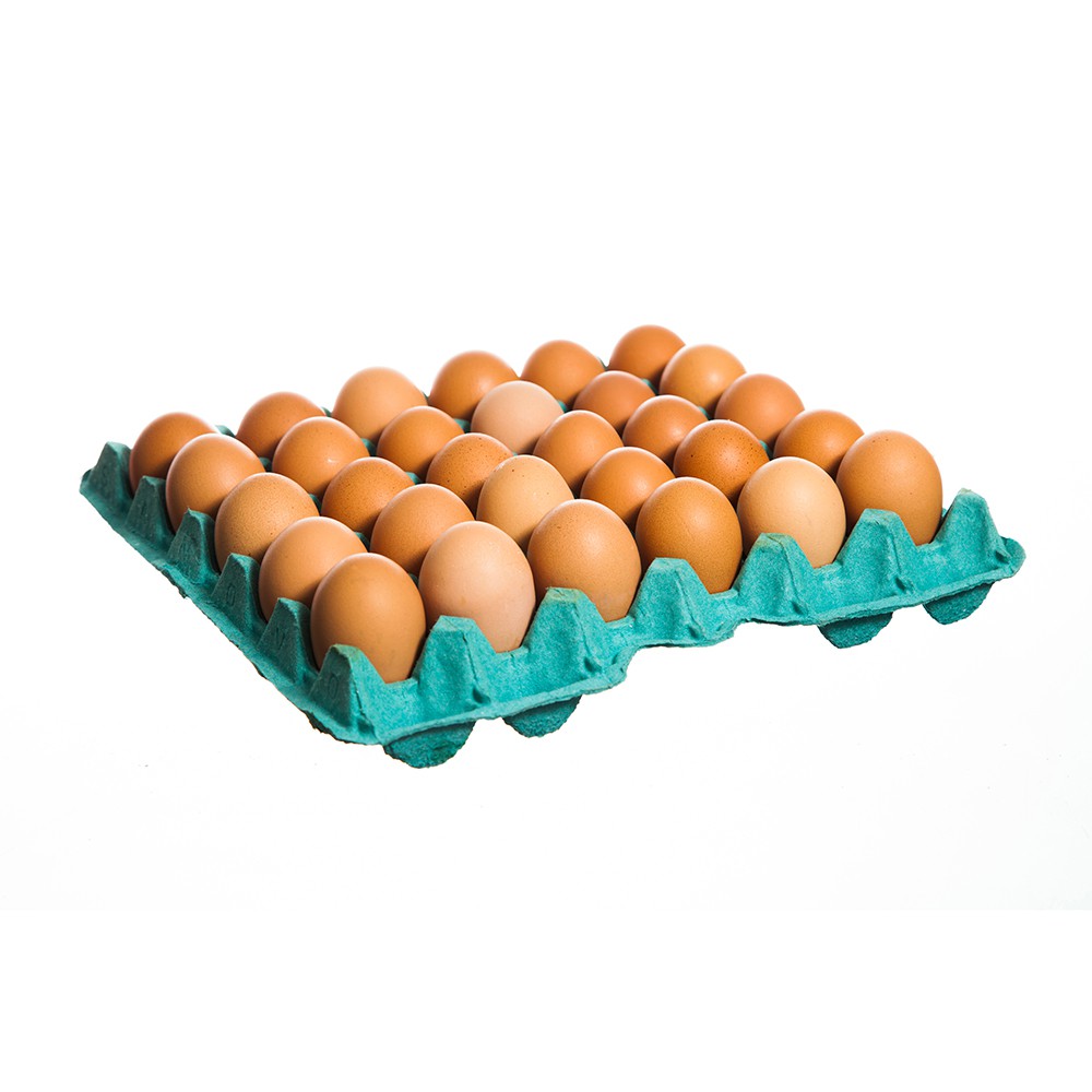 9cg huevo plancha de 30 unds 