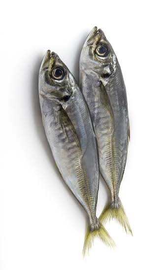 Pescado jurel con cabeza granel