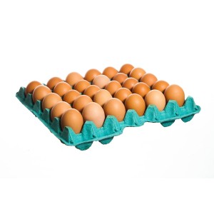 9cg huevo plancha de 30 unds 